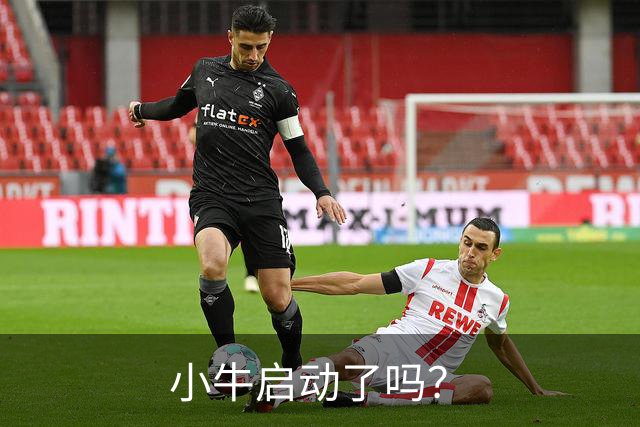 小牛启动了吗？
